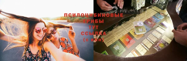 кристаллы Богданович