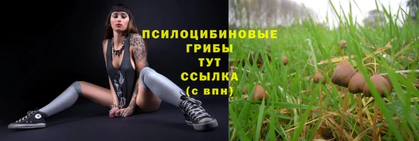 кристаллы Богданович
