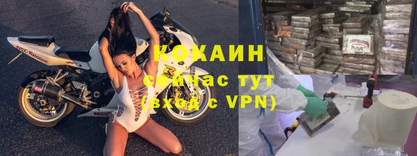прущие грибы Белокуриха