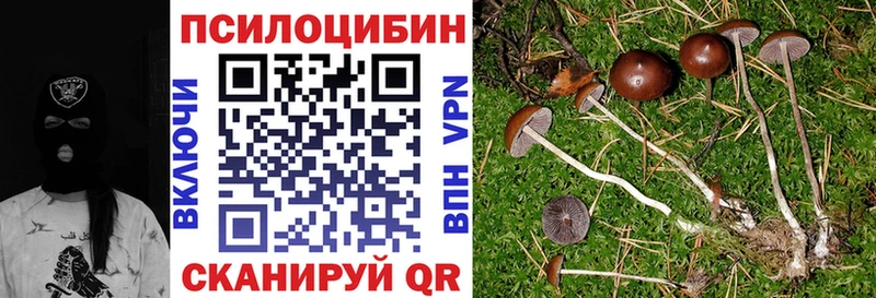 Псилоцибиновые грибы Psilocybine cubensis  дарнет шоп  Петрозаводск 